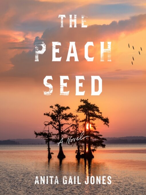 Title details for The Peach Seed by Anita Gail Jones - Wait list